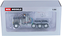 Show product details for WSI Models - Peterbilt 379 8X4 4 Axle Truck (1/50 scale diecast model car, Silver) 33-2015
