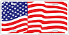 License Plate: US Flag Waving Sign SLAAR