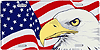 License Plate: US Flag Waving w/ Eagle Sign SLAFE